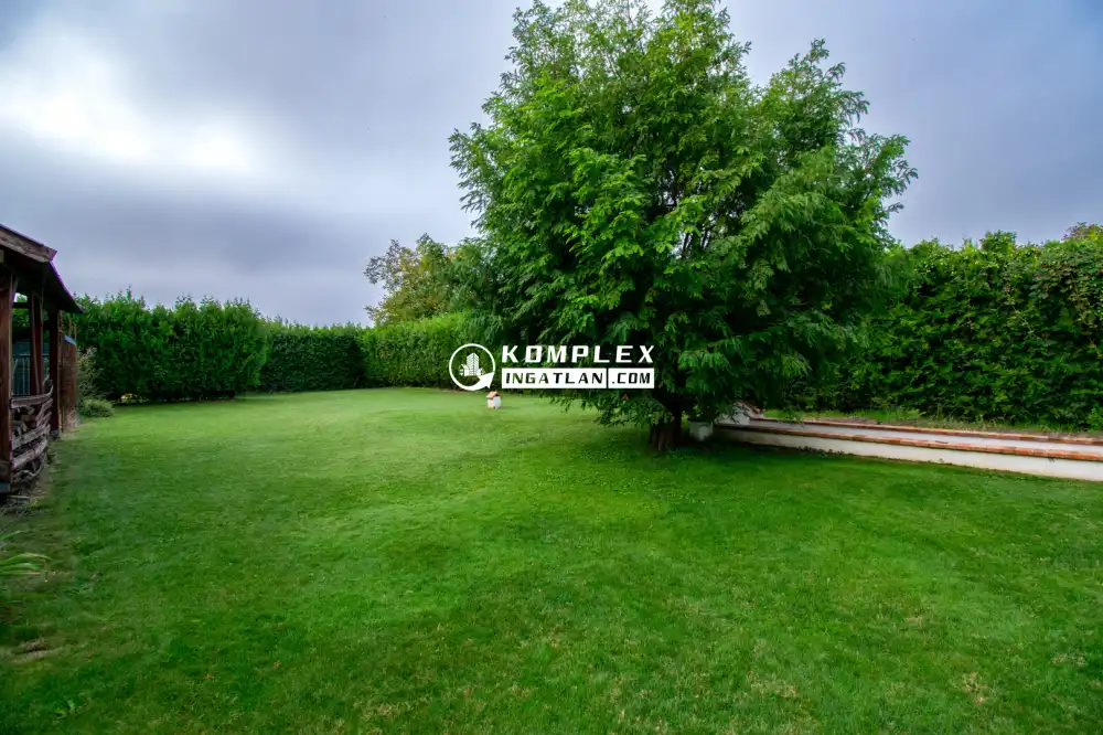 Győr-Moson-Sopron megye - Feketeerdő