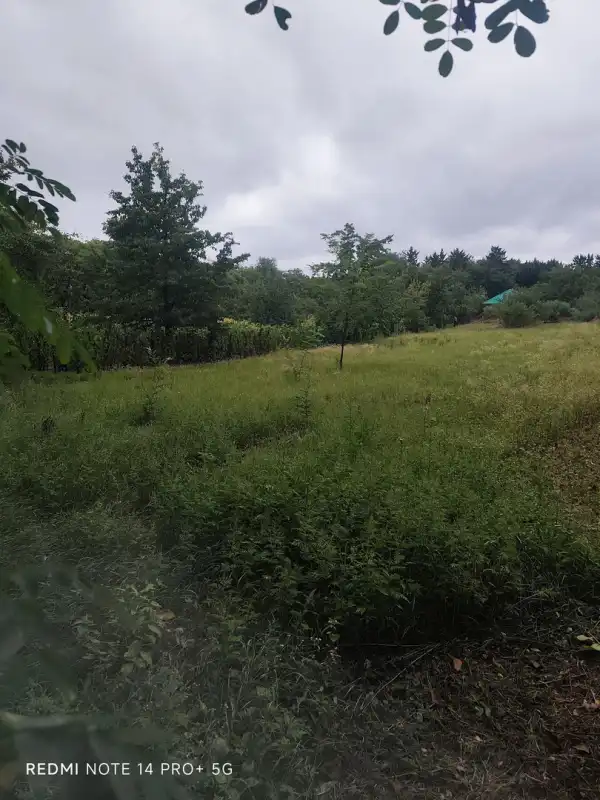 Eladó Építési telek, Győrság 1499 m² 13.5 M Ft