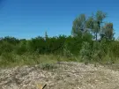 Komárom-Esztergom megye - Tatabánya