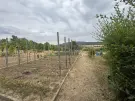 Komárom-Esztergom megye - Vértestolna