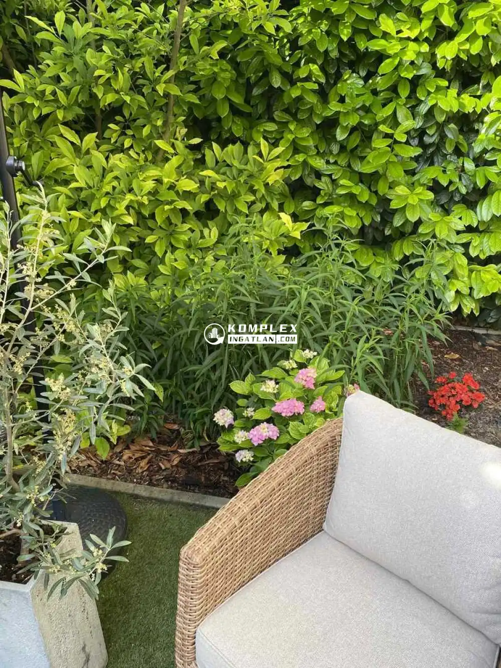 Győr-Moson-Sopron megye - Mosonmagyaróvár