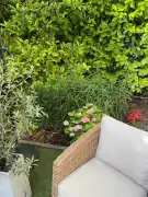 Győr-Moson-Sopron megye - Mosonmagyaróvár