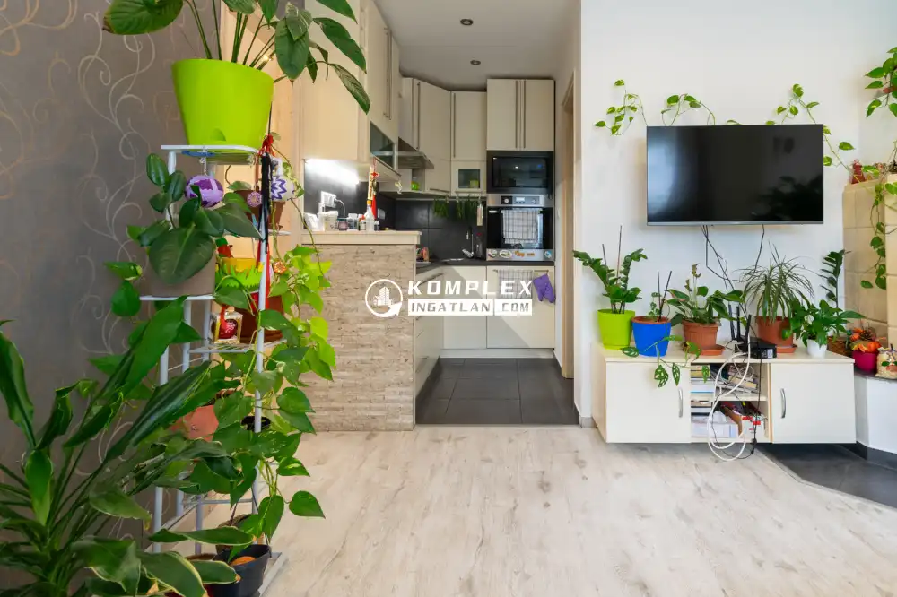 Győr-Moson-Sopron megye - Mosonmagyaróvár