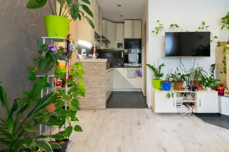 Eladó téglalakás, Mosonmagyaróvár 2 szoba 36 m² 32.94 M Ft