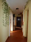 Komárom-Esztergom megye - Tatabánya
