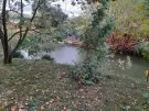 Pest megye - Dunakeszi