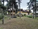 Pest megye - Göd