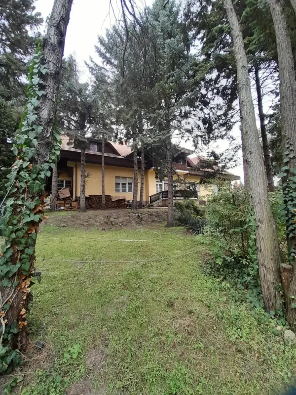 Eladó villa, Göd 12 szoba 536 m² 710 M Ft